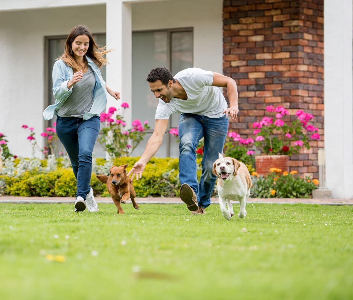 man and woman running with dogs in their yard